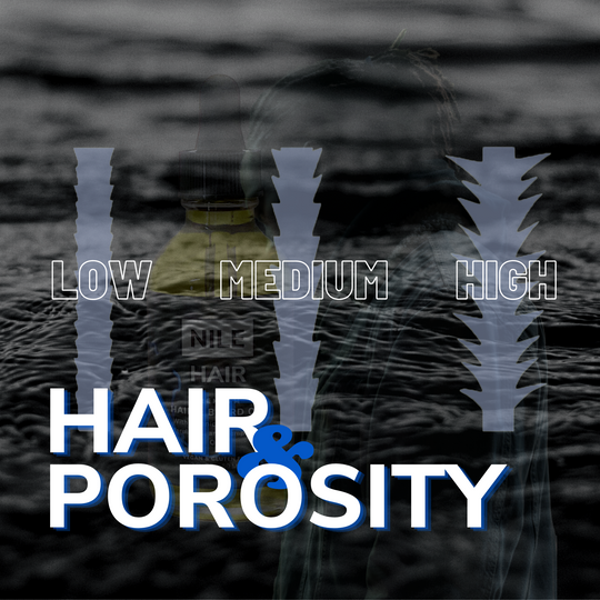 Hair Porosity: An Easy Guide to Understanding Your Hair